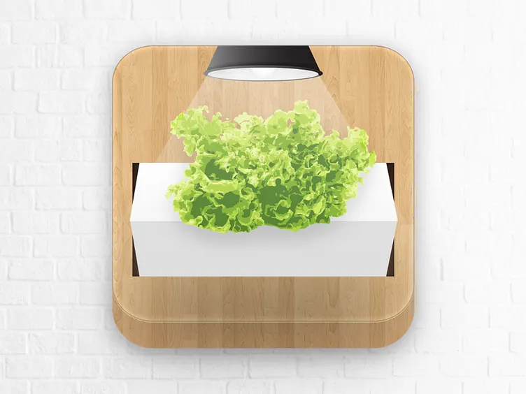 Daily UI — App Icon